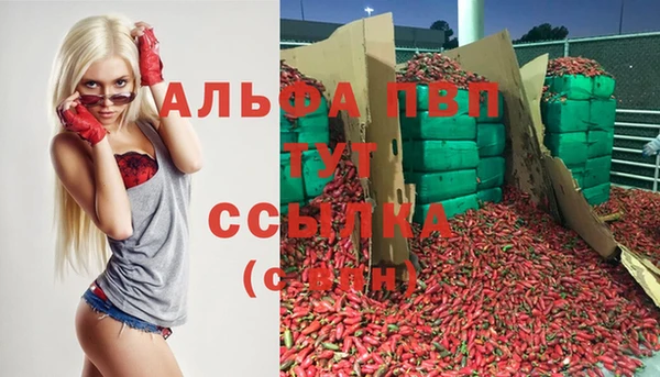 сатива Алексин