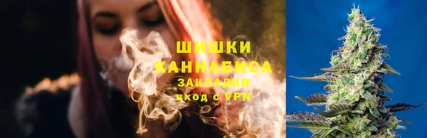 эйфоретик Алзамай