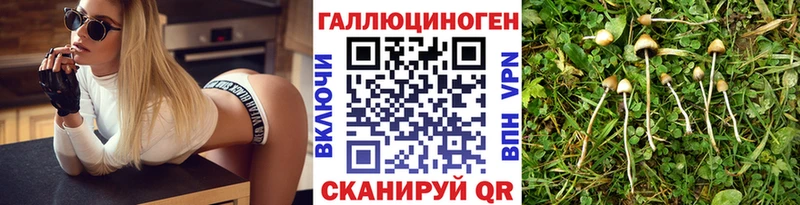 Галлюциногенные грибы прущие грибы  блэк спрут вход  это как зайти  Устюжна 